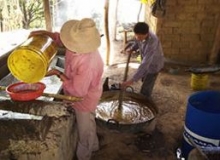 Imagen Parroquia Vicentino